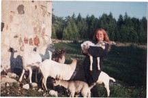 Goats on a farm in West Grey